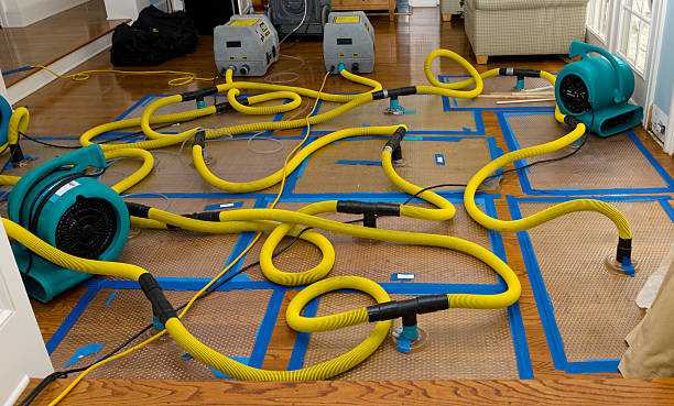 Professional Basement Flood Cleanup technician working in Winona, TX